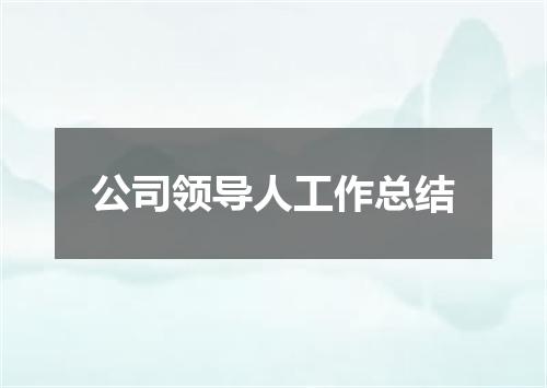公司领导人工作总结