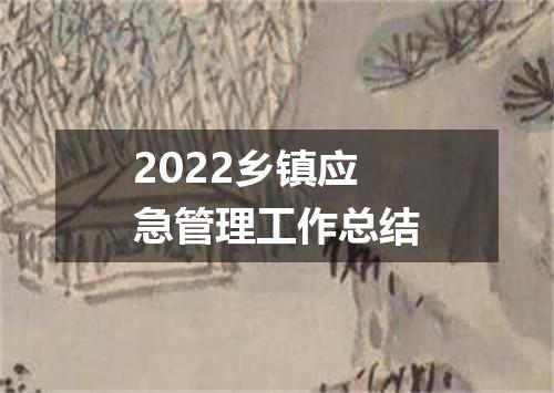 2022乡镇应急管理工作总结