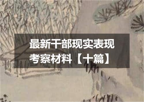 最新干部现实表现考察材料【十篇】