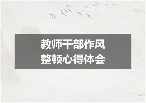 教师干部作风整顿心得体会