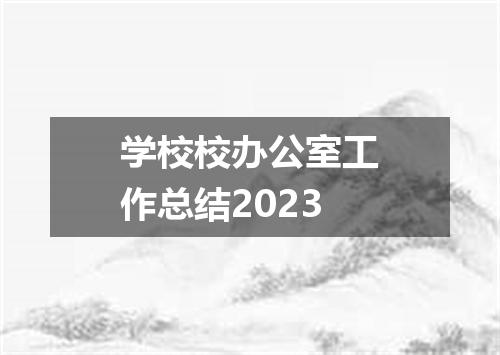 学校校办公室工作总结2023