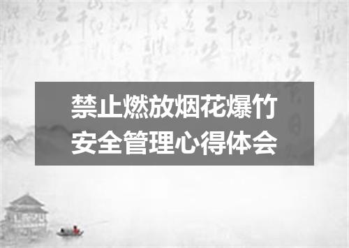 禁止燃放烟花爆竹安全管理心得体会