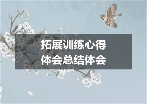 拓展训练心得体会总结体会