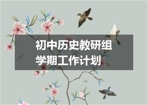 初中历史教研组学期工作计划