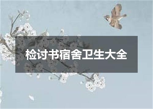 检讨书宿舍卫生大全