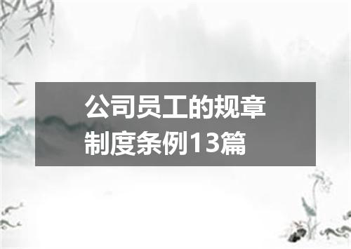 公司员工的规章制度条例13篇
