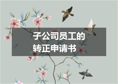 子公司员工的转正申请书