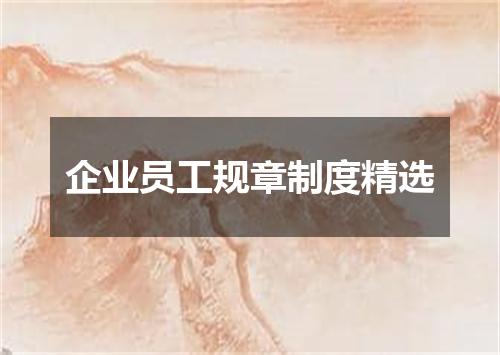企业员工规章制度精选