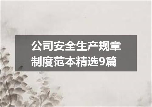 公司安全生产规章制度范本精选9篇
