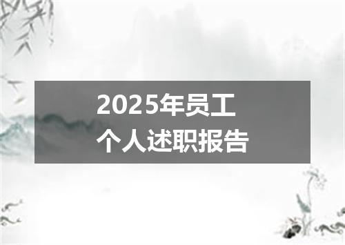 2025年员工个人述职报告