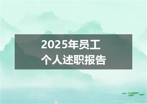 2025年员工个人述职报告