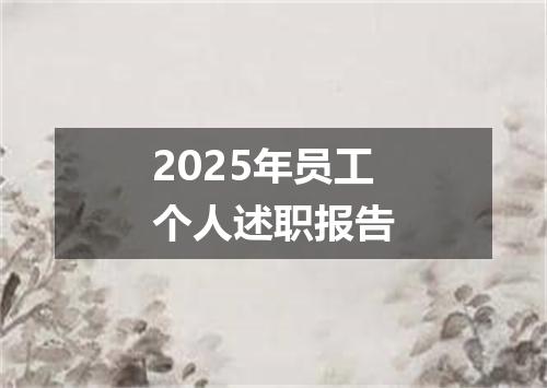 2025年员工个人述职报告