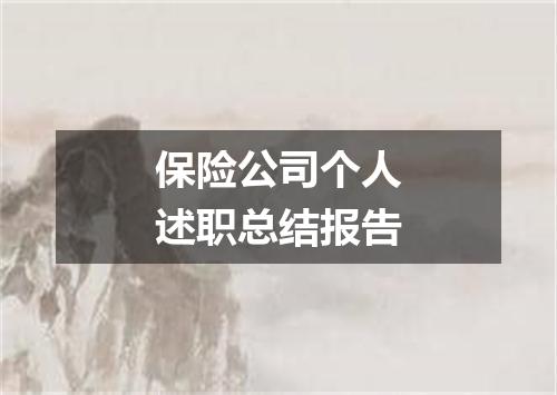 保险公司个人述职总结报告