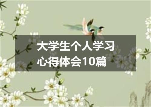 大学生个人学习心得体会10篇