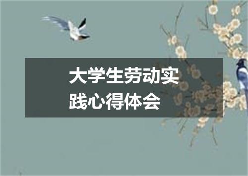 大学生劳动实践心得体会