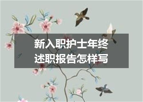 新入职护士年终述职报告怎样写