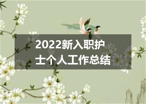 2022新入职护士个人工作总结