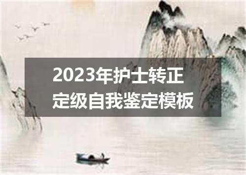 2023年护士转正定级自我鉴定模板