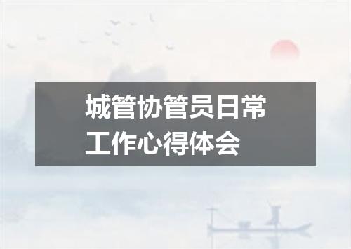 城管协管员日常工作心得体会