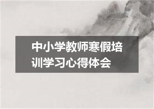 中小学教师寒假培训学习心得体会