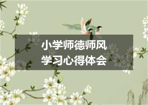 小学师德师风学习心得体会