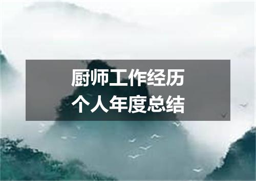 厨师工作经历个人年度总结