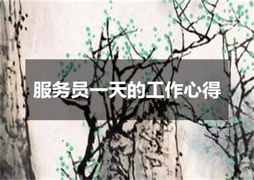 服务员一天的工作心得