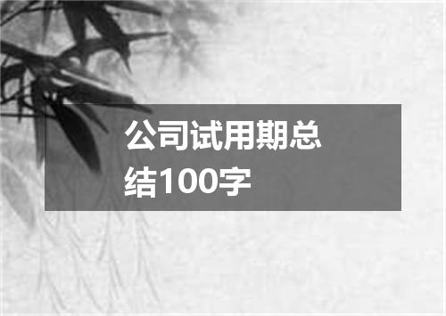 公司试用期总结100字