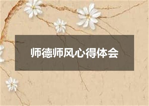 师德师风心得体会