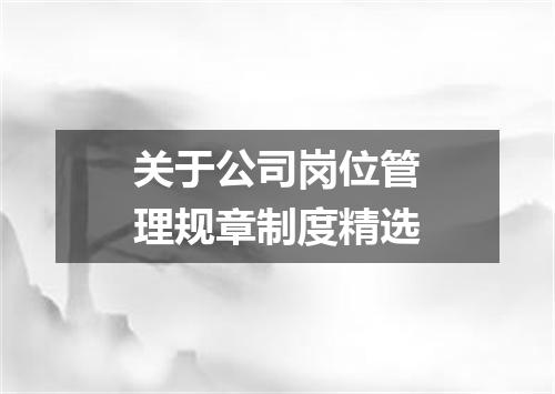 关于公司岗位管理规章制度精选