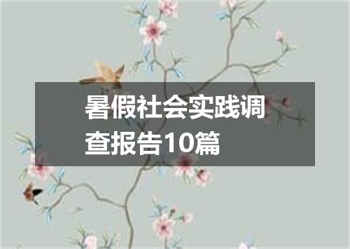 暑假社会实践调查报告10篇