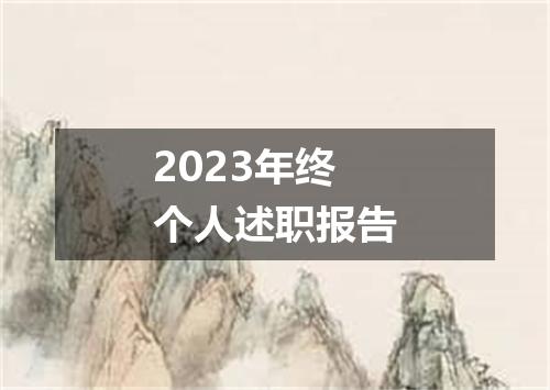 2023年终个人述职报告
