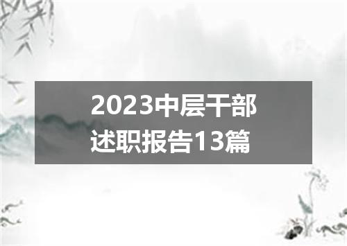 2023中层干部述职报告13篇
