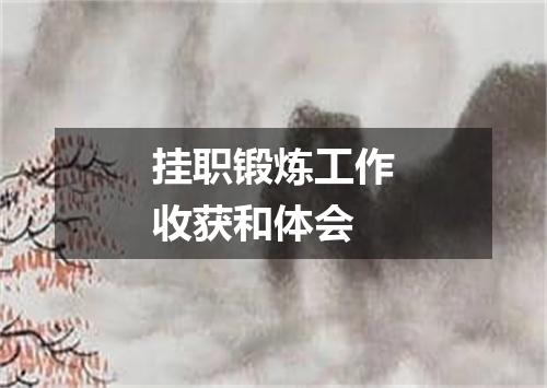 挂职锻炼工作收获和体会