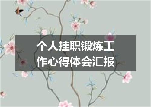 个人挂职锻炼工作心得体会汇报