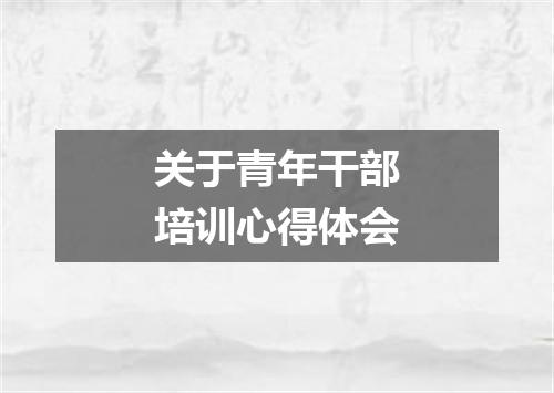 关于青年干部培训心得体会