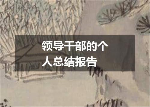 领导干部的个人总结报告