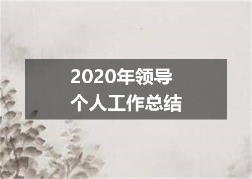 2020年领导个人工作总结