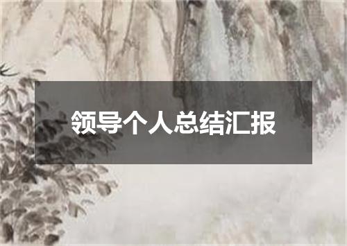 领导个人总结汇报