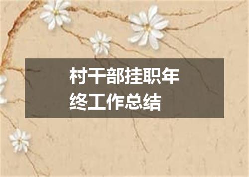 村干部挂职年终工作总结
