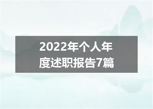 2022年个人年度述职报告7篇
