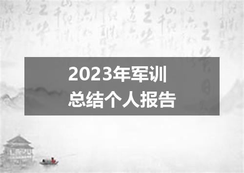 2023年军训总结个人报告