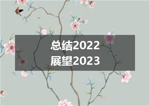 总结2022展望2023