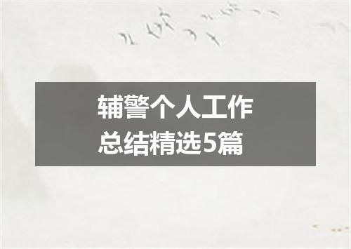 辅警个人工作总结精选5篇