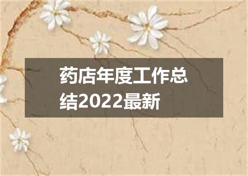 药店年度工作总结2022最新