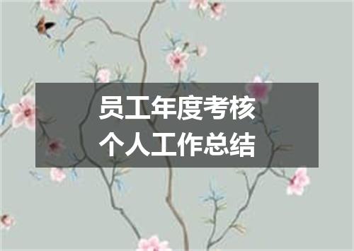 员工年度考核个人工作总结