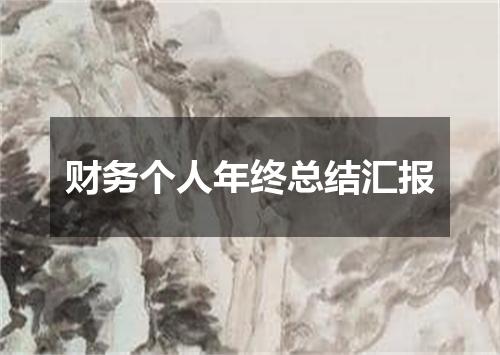 财务个人年终总结汇报