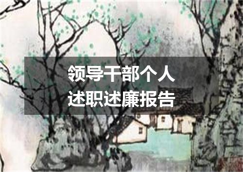 领导干部个人述职述廉报告