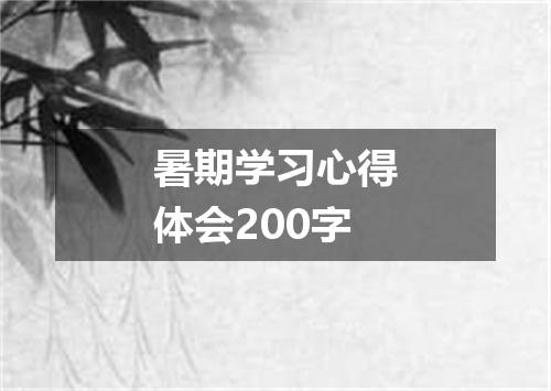 暑期学习心得体会200字
