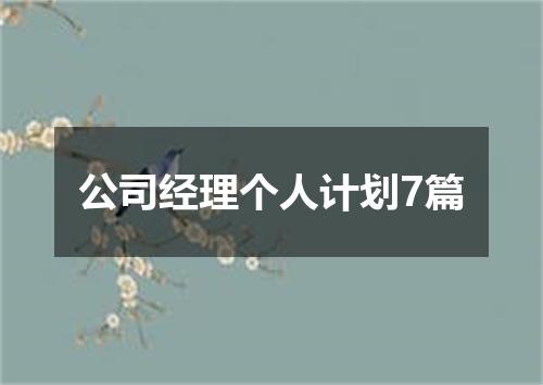 公司经理个人计划7篇